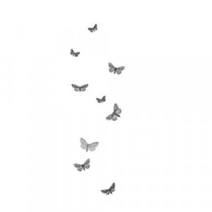tumblr transparent butterflies