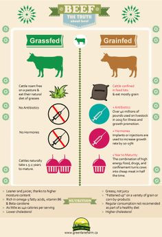Comparing grassfed #beef to grain-fed #beef . #GoGrassfed for better ...