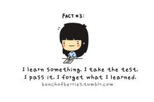 art, cute, drawing, english, facts, forget, funny, hate, laugh, learn ...