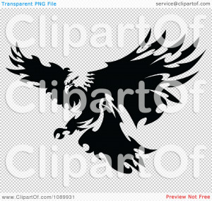 Black And White Eagle Feather A black and white fierce