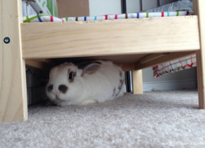 Shhh, I’m hiding from Monday.
