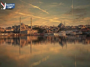 Pinned by Shimo Kouta