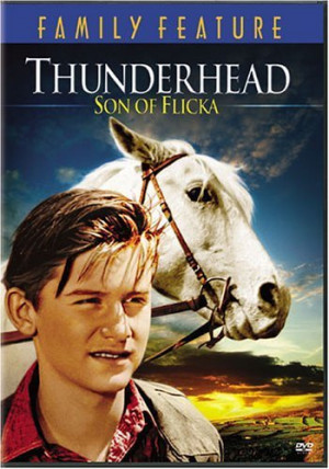 titles thunderhead son of flicka thunderhead son of flicka