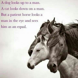 If we look back at him as equal.