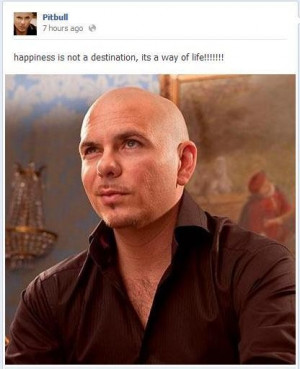 Singer pitbull man sayings quotes and life happiness