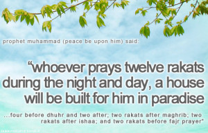 quote070612housein-paradise-islamic-quotes.png
