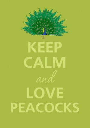 Keep Calm and Love Peacocks!
