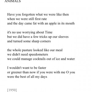 frank o'hara Animals (1950)