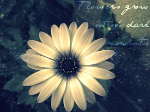 Flowers Grow Out Of Dark