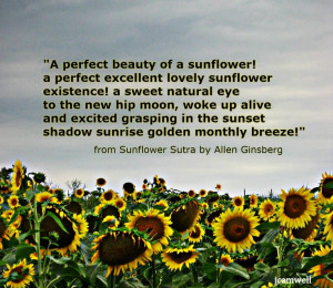 ... Sunflowers Sutra, Thoughts Exactly, Leisure Time, Literary Quotes, All