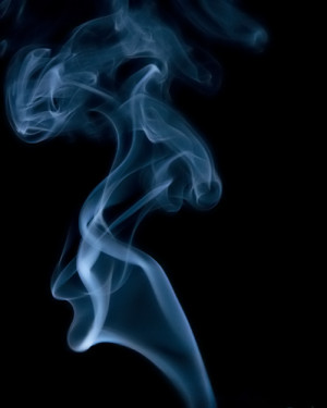 Funny Quotes Contact Dmca