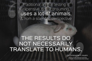 Reasons Why Animal Testing Doesn’t Help Humans
