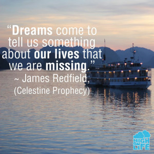 ... our lives that we are missing. ~ James Redfield (Celestine Prophecy