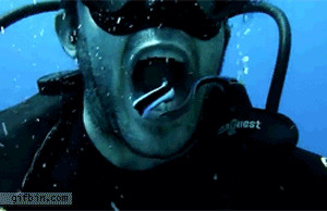 Fish eat out of scuba divers mouth