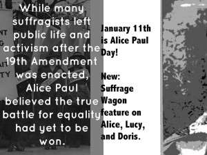 Displaying 18> Images For - Equal Rights Amendment Alice Paul...