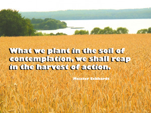 picture quote about love, and what is important in life: