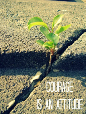 failed my way to success. ”