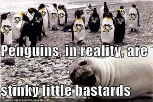Pittsburgh Penguins stink Image