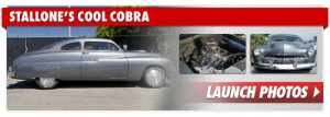 Re: Just got a 84 Puch Cobra/e50, Pics, Questions