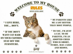 welcome to my house ....