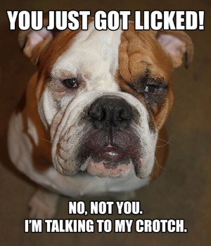LIZARD LICK TOWING - Ron's Dog-isms