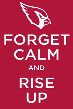 ... Bruce Arians era of Cardinal Football my hometown team and NFC rep