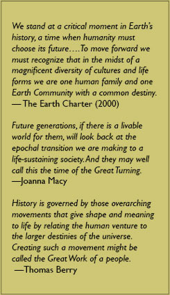 The Great Turning: From Empire to Earth Community