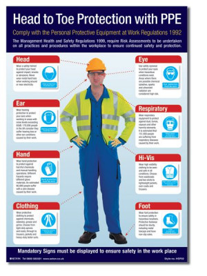 ... Office Safety Posters / Head to Toe PPE Protection Visual Guide Poster