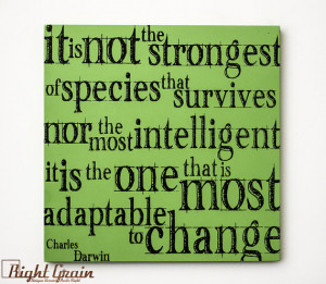 Charles Darwin Wall Quote - in Custom Colors by RightGrain