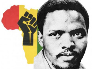 More on the Murder of Biko read the biography written by South African ...
