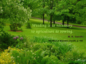 Weeding Is As Necessary To Agriculture As Sowing