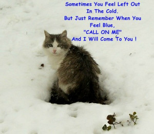 Am Here For You Friend Quotes Here for you kitty.