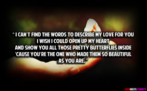 can’t find the words to describe my love for youI wish I could ...