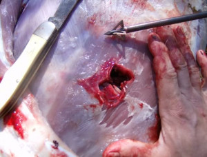 ... is all about speed. Hot, nasty, bad-ass speed. ~ Eleanor Roosevelt