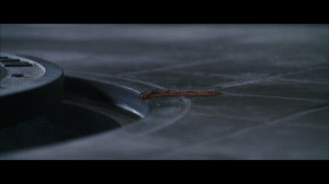 Jonesy and Henry look at each other. The baby worm crawls towards the ...