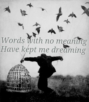 Birdy lyrics quotes