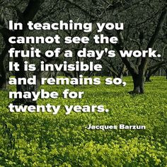 In teaching you cannot see the fruit of a day 39 s work It is