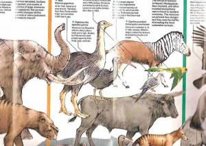 Map - 1989 - March Toward Extinction / Dinosaurs