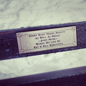 Central park bench quote