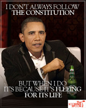 Obamacare ruling in meme form