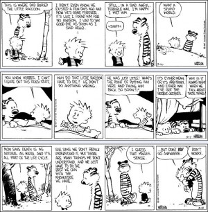 http://en.wikipedia.org/wiki/Calvin_and_Hobbes
