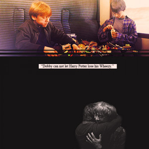Harry Potter Quote Tumblr (20)