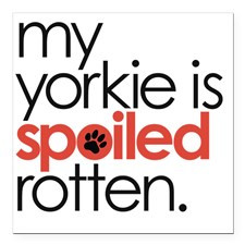 my yorkie is spoiled rot Square Car Magnet 3