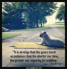 Boxer Dog Love! This quote is deep.. More