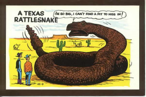 postcards u s views texas unclassified 46810 texas rattlesnack funny ...