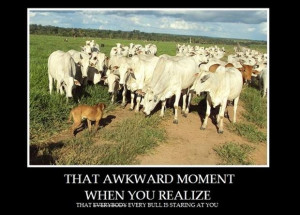 Funny Awkward Moments 13