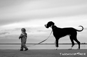 小朋友，你的狗狗很大只啊~- 狗狗图片 www.tadewo.com