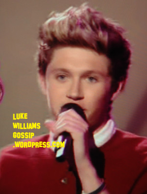 One Direction's Niall Horan Spotted Smoking And Drinking In A Pub In ...