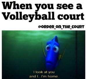 Volleyball Humor