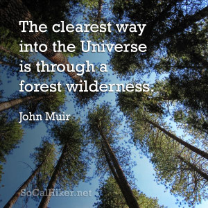 great quote from John Muir, and my creation for Day 3 of my 30 Days ...